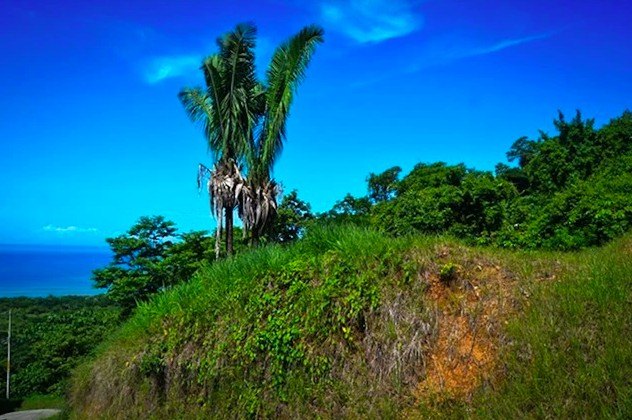 Nestled within the pristine, gated community of La Reserva - Beach Lot for sale in Playa Camaronal,  on Beachhouse.com