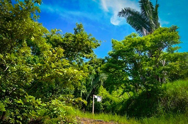 Nestled within the pristine, gated community of La Reserva - Beach Lot for sale in Playa Camaronal,  on Beachhouse.com