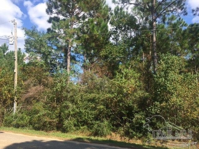 Discover the perfect blend of privacy and convenience with this - Beach Acreage for sale in Milton, Florida on Beachhouse.com