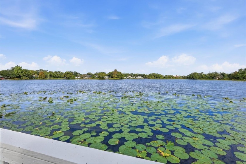 Beautiful Twin Lakes lakefront retreat offering rare - Beach Home for sale in Tampa, Florida on Beachhouse.com