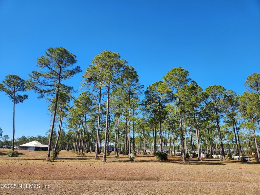 Equestrian-style community extraordinaire now offering this - Beach Acreage for sale in Jacksonville, Florida on Beachhouse.com