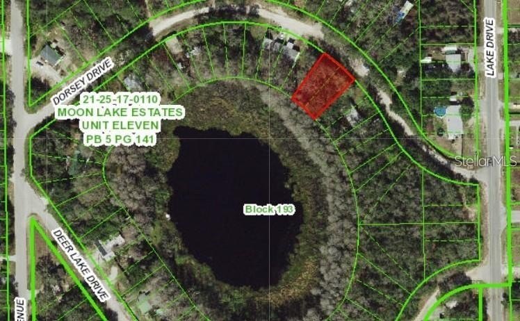 Lakefront and waterview opportunity in Moon Lake Estates, New - Beach Lot for sale in New Port Richey, Florida on Beachhouse.com