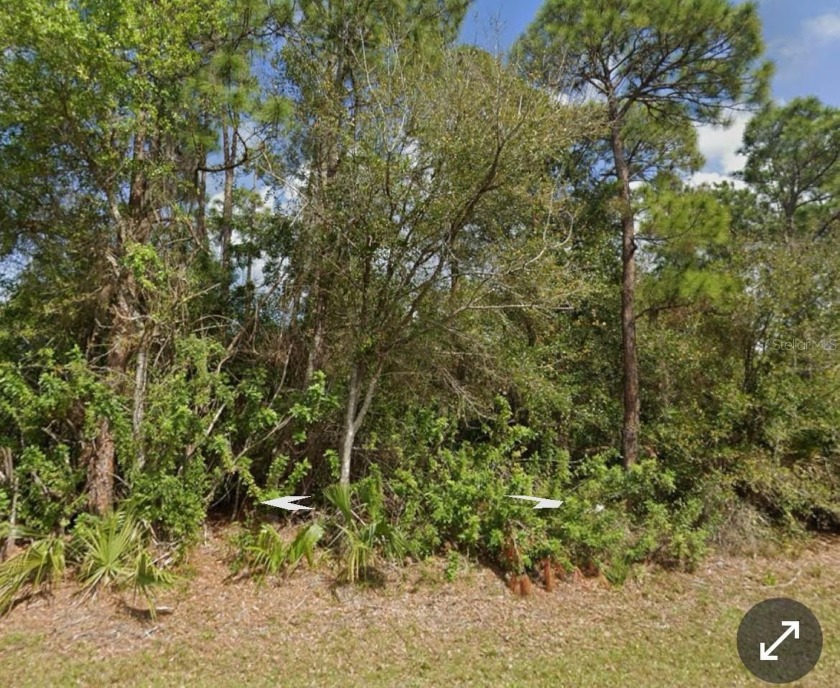 Discover the perfect opportunity to build your dream home or - Beach Lot for sale in Punta Gorda, Florida on Beachhouse.com