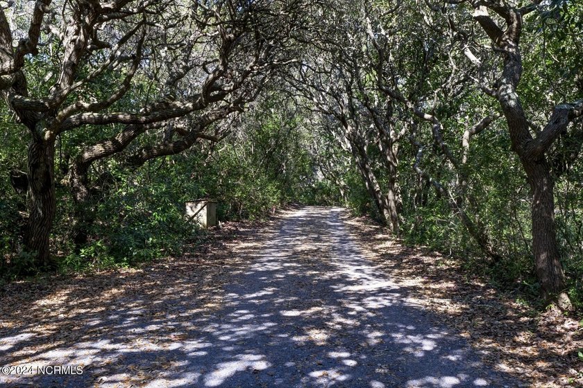 Rare High-Elevation Lot with Ocean & Sound Views! Discover Lot - Beach Lot for sale in Topsail Beach, North Carolina on Beachhouse.com