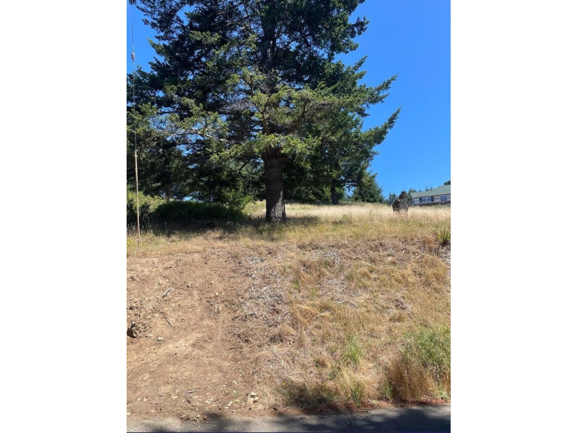 Nice, gently sloping lot in Shelter Cove to build your dream - Beach Lot for sale in Shelter Cove, California on Beachhouse.com