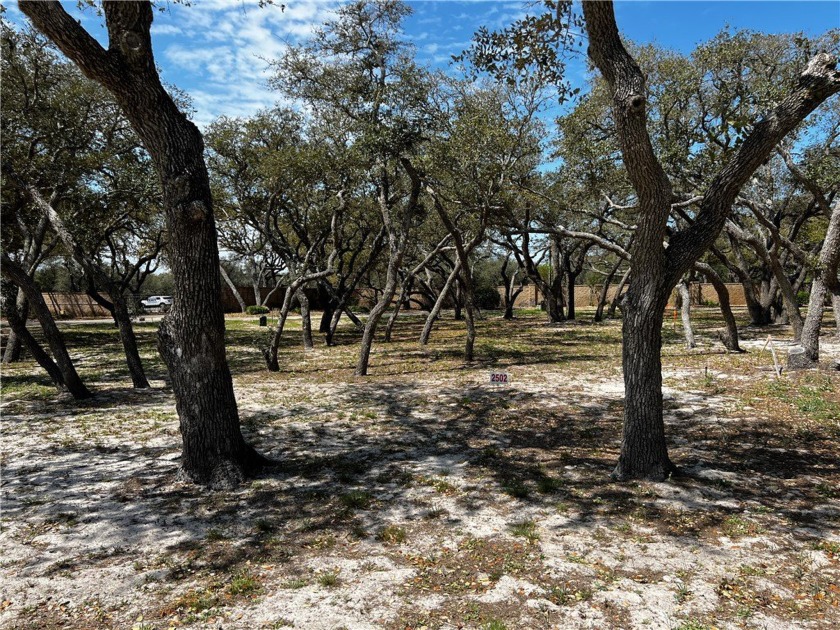 See what is behind the gate at Royal Oaks! The name says it all - Beach Lot for sale in Fulton, Texas on Beachhouse.com