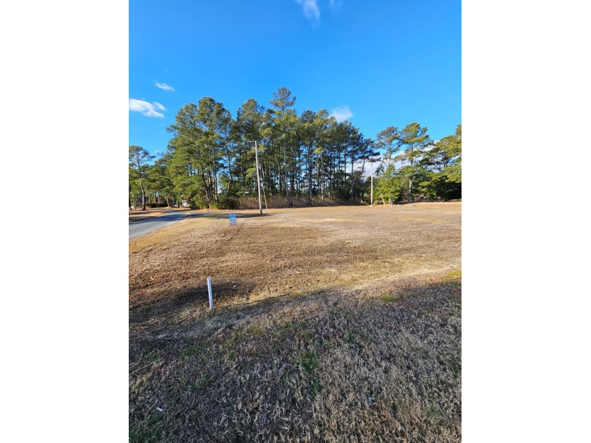 WOW!! Just listed beautiful corner lot with Mallard Pond views - Beach Acreage for sale in Chincoteague Island, Virginia on Beachhouse.com