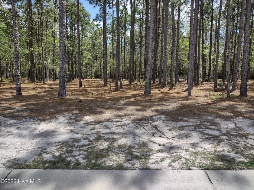 A beautifully wooded nature site on a low traffic street with a - Beach Lot for sale in Ocean Isle Beach, North Carolina on Beachhouse.com