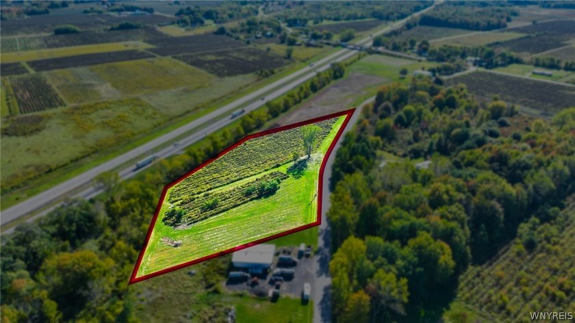 Rare opportunity to own 4.4+/- acres of vineyards in the heart - Beach Acreage for sale in Silver Creek, New York on Beachhouse.com