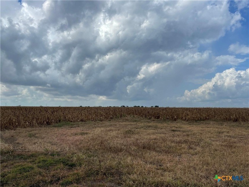 *Prime farm land for sale! This expansive property boasts a - Beach Acreage for sale in Port Lavaca, Texas on Beachhouse.com