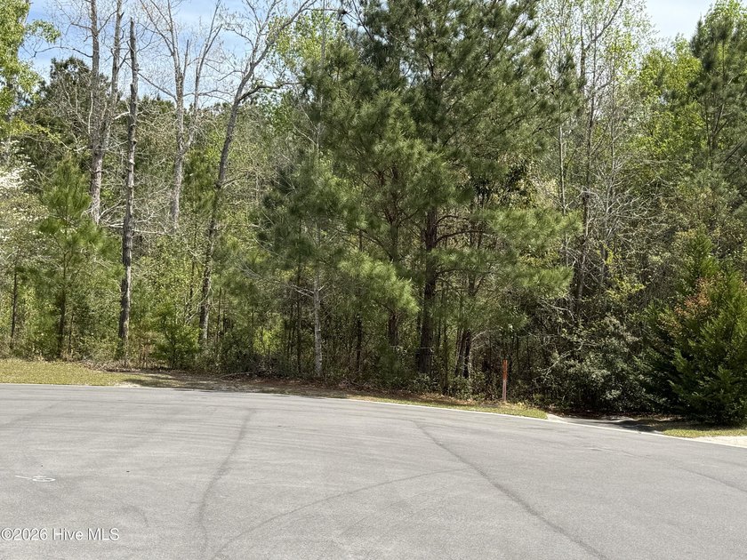 Finding the right lot isn't always easy--but this .428-acre - Beach Lot for sale in Shallotte, North Carolina on Beachhouse.com