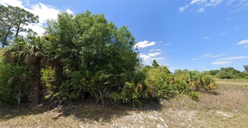 A half-acre lot located on a dead-end street next to a large - Beach Lot for sale in Lehigh Acres, Florida on Beachhouse.com