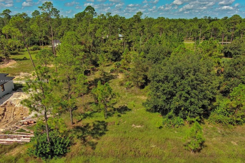 Lot For Sale in Lehigh Acres - Beach Lot for sale in Lehigh Acres, Florida on Beachhouse.com