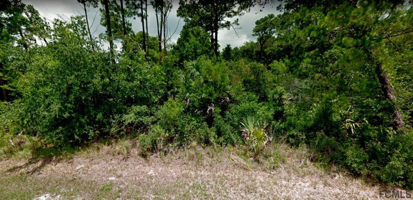 A large oversized lot in the popular area of Palm Harbor - Beach Lot for sale in Palm Coast, Florida on Beachhouse.com