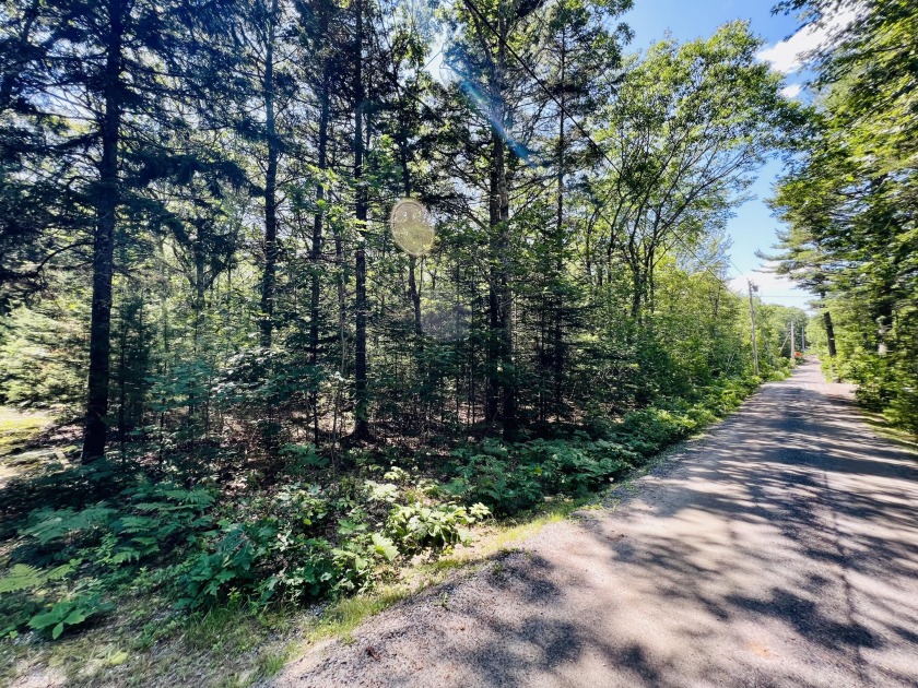 Build the house of your dreams on this beautiful wooded lot! - Beach Lot for sale in Bristol, Maine on Beachhouse.com