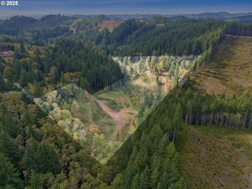 Rarest of Rare! Coastal range just shy 9ac bisected with gentle - Beach Acreage for sale in Toledo, Oregon on Beachhouse.com