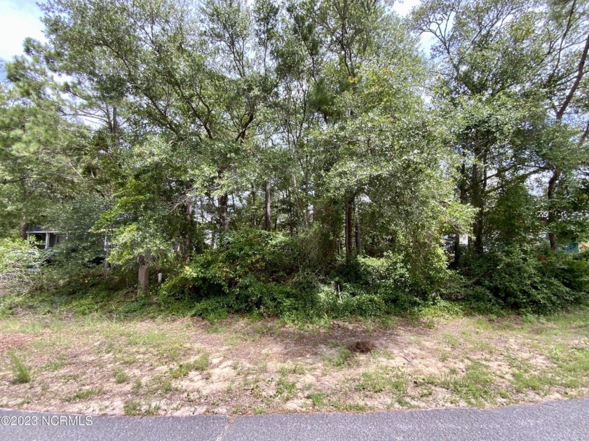 1.5 Lots priced aggressively to sell.  The ONLY  82.5 x 120 - Beach Lot for sale in Oak Island, North Carolina on Beachhouse.com