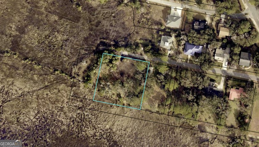 LOCATION, PRIVACY, AND A MARSH VIEW... WHAT MORE COULD YOU WISH - Beach Lot for sale in Saint Marys, Georgia on Beachhouse.com