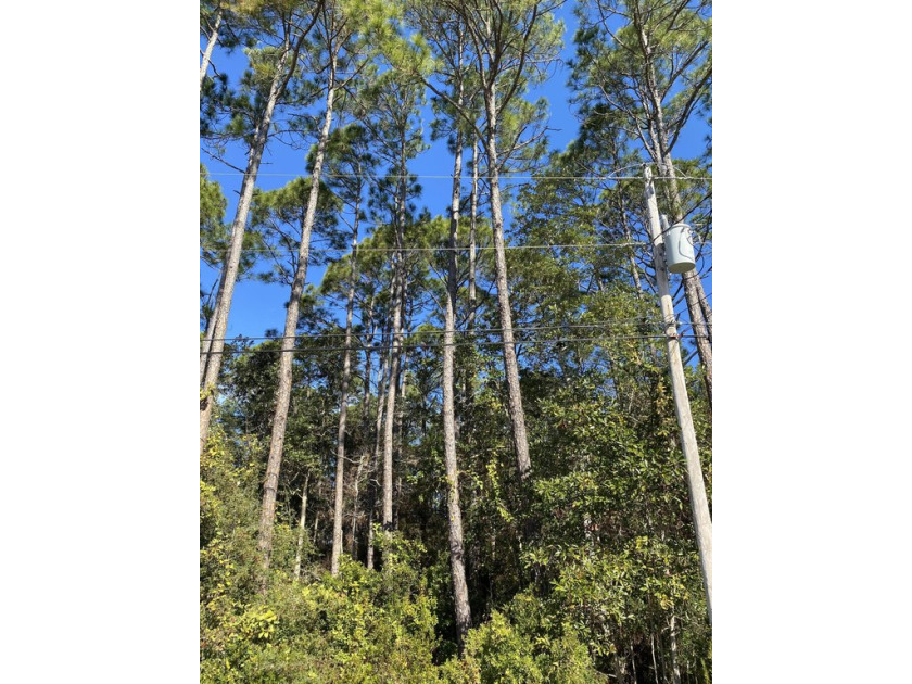 This wooded lot is located close to Navarre Beach and the golf - Beach Lot for sale in Navarre, Florida on Beachhouse.com