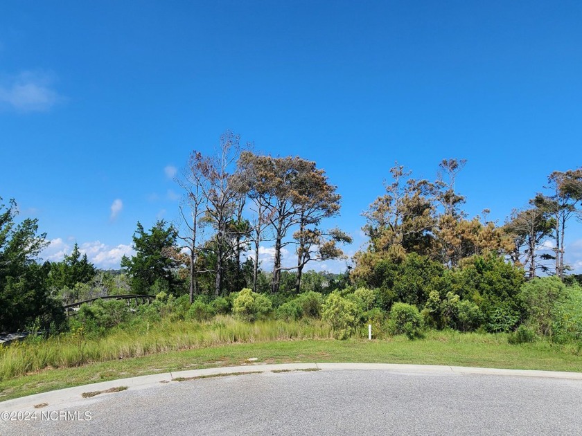 FANTASTIC OPPORTUNITY to purchase land on the island of Ocean - Beach Lot for sale in Ocean Isle Beach, North Carolina on Beachhouse.com