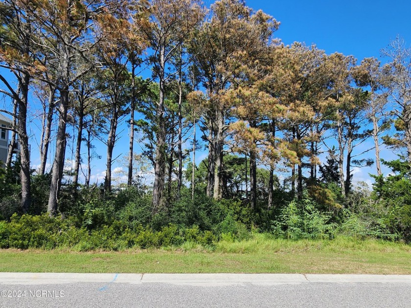 FANTASTIC OPPORTUNITY to purchase land on the island of Ocean - Beach Lot for sale in Ocean Isle Beach, North Carolina on Beachhouse.com