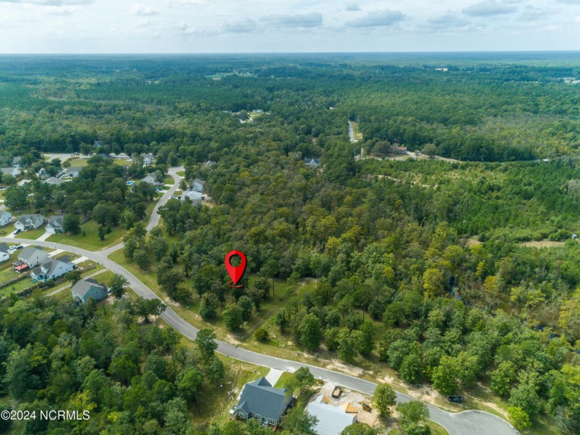 Nestled within a secure and serene gated community, this .54 - Beach Lot for sale in Supply, North Carolina on Beachhouse.com