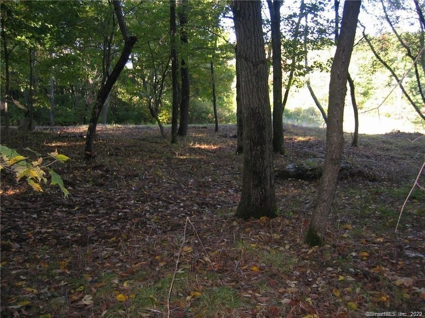 Desirable, Wooded, Level & Private 1.14 Acre Buildable Lot - Beach Lot for sale in Stamford, Connecticut on Beachhouse.com