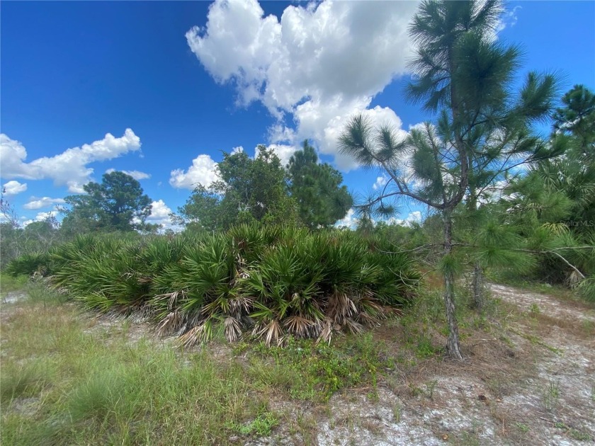 Priced to SELL! Vacant Residential lot in the middle of Lehigh - Beach Lot for sale in Lehigh Acres, Florida on Beachhouse.com