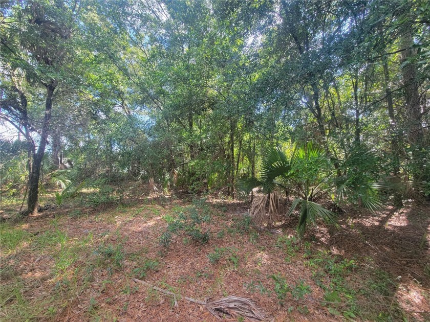 A remarkable price for this .25 acre in beautiful Crystal River! - Beach Lot for sale in Crystal River, Florida on Beachhouse.com