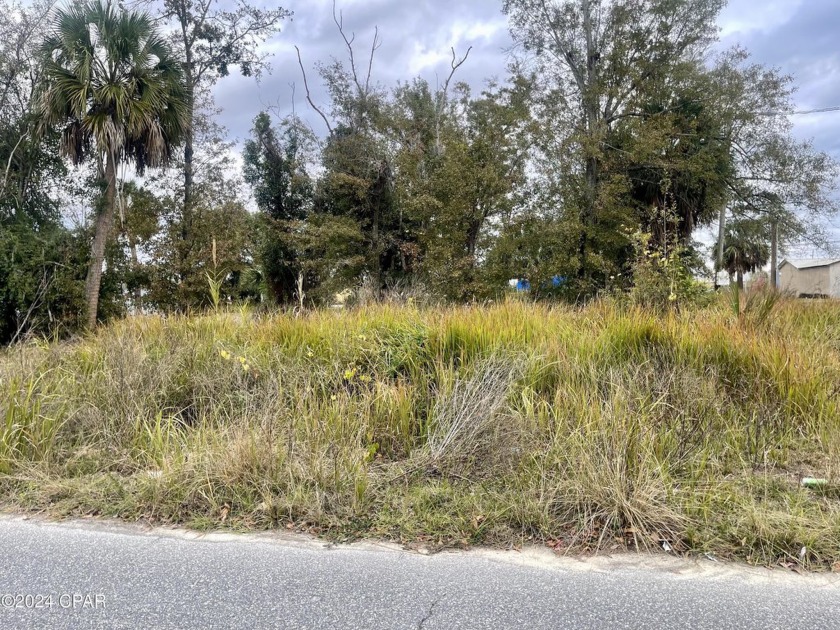 Discover an affordable residential building lot nestled within - Beach Lot for sale in Panama City, Florida on Beachhouse.com