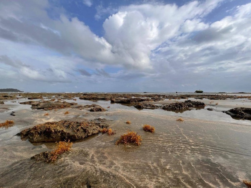 Discover a unique opportunity to own oceanfront land in Palenque - Beach Lot for sale in Colón,  on Beachhouse.com