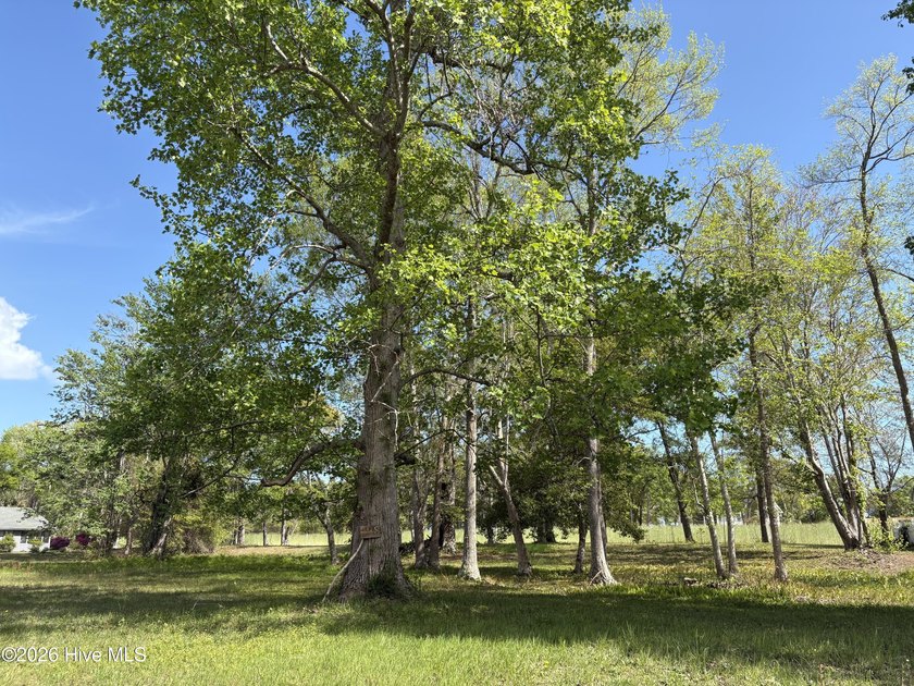 Beautiful homesite in the peaceful community of Lake Tree Shores - Beach Lot for sale in Ocean Isle Beach, North Carolina on Beachhouse.com