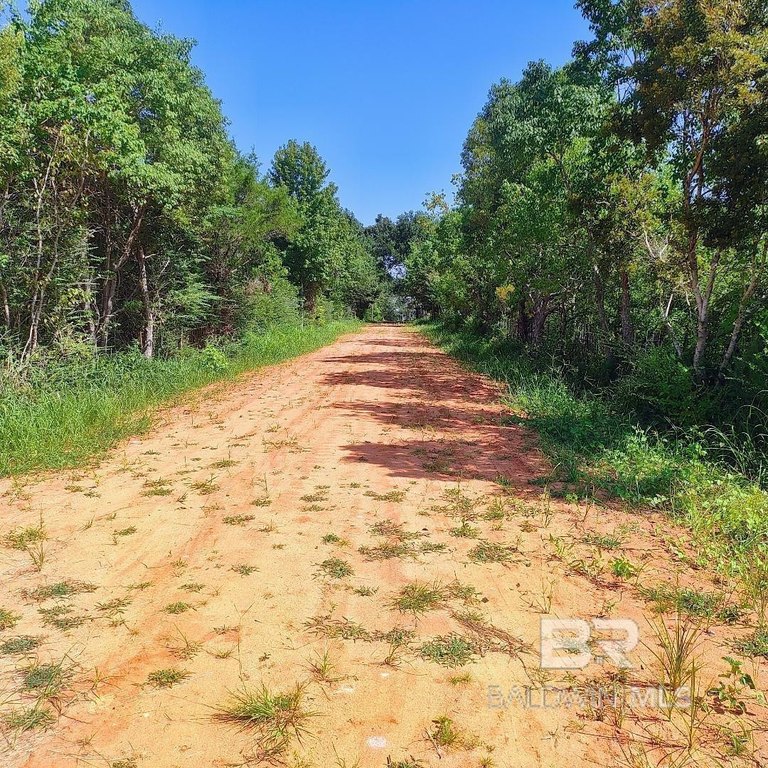 This will be a new 6 lot subdivision. Lots will be proximally 2 - Beach Acreage for sale in Silverhill, Alabama on Beachhouse.com