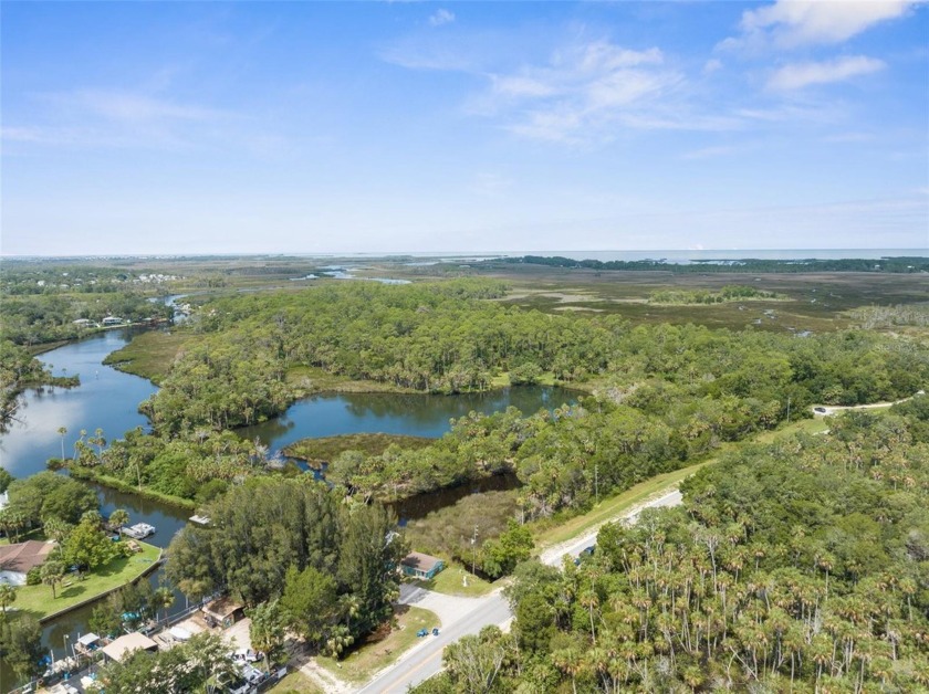 UNBELIEVABLE OPPORTUNITY to own a NATURAL SPRING in Florida! - Beach Acreage for sale in Spring Hill, Florida on Beachhouse.com
