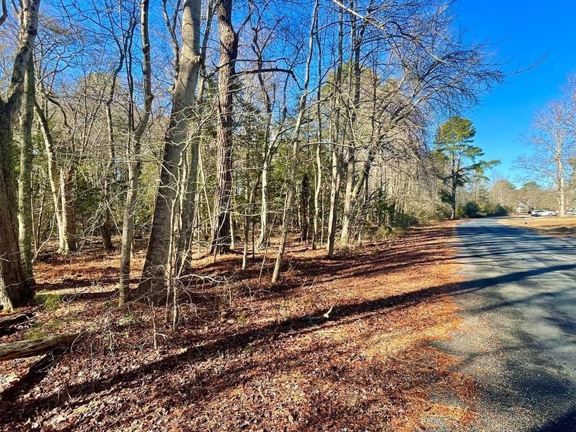 BUILDABLE PARCEL! Neptune Drive is a paved road the entire way - Beach Lot for sale in Greenbackville, Virginia on Beachhouse.com