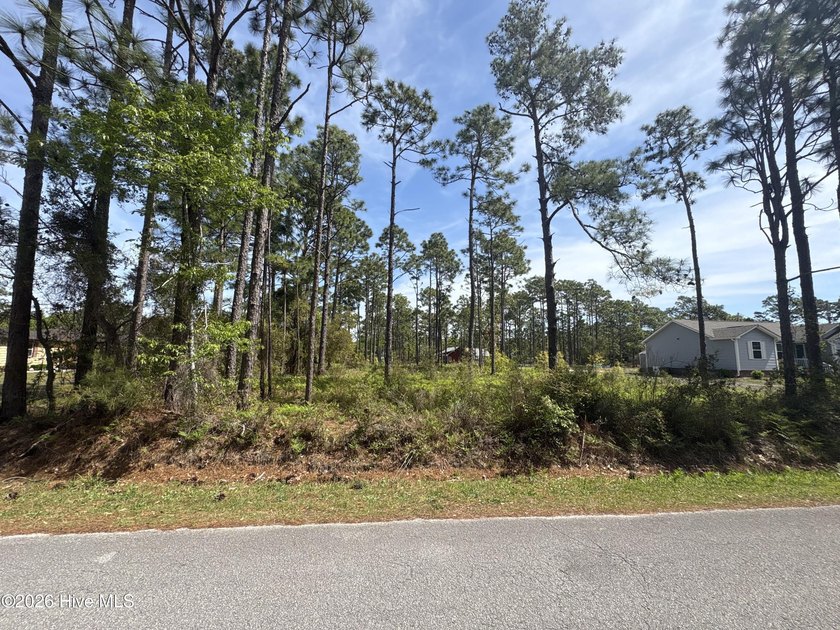 Located in growing Boiling Spring Lakes. This residential land - Beach Lot for sale in Southport, North Carolina on Beachhouse.com
