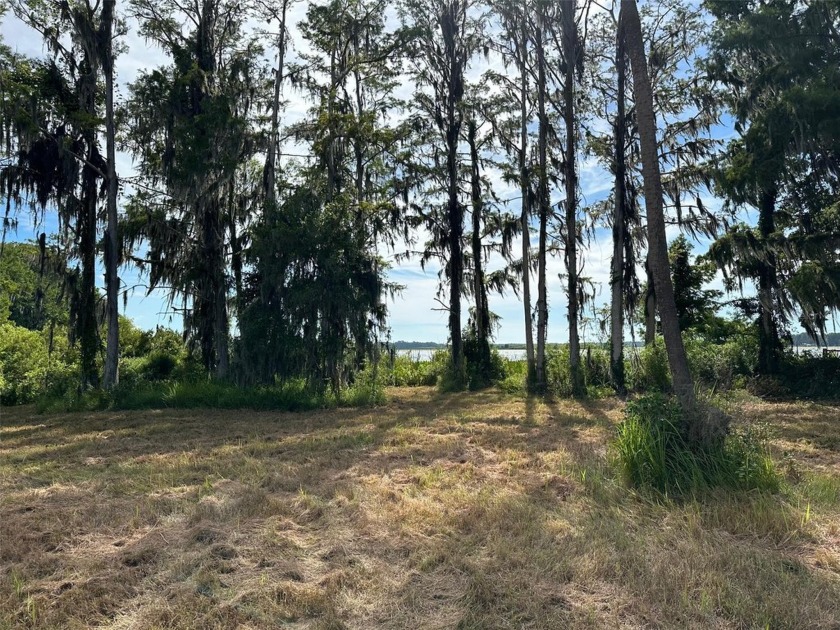 BEAUTIFUL LAKE ROUSSEAU IN CRYSTAL RIVER - OVER 150 FEET ON THE - Beach Acreage for sale in Crystal River, Florida on Beachhouse.com