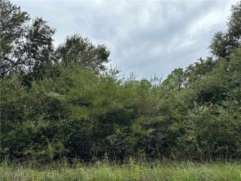 Build your dream home on this 0.5-acre lot in the quickly - Beach Lot for sale in Lehigh Acres, Florida on Beachhouse.com