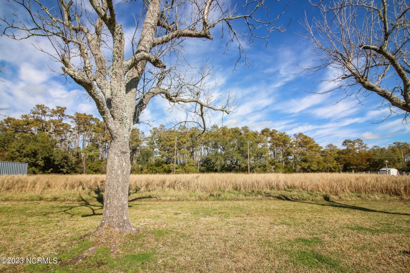 Bucolic 1+acre lot situated perfectly to give the feeling of - Beach Lot for sale in Morehead City, North Carolina on Beachhouse.com