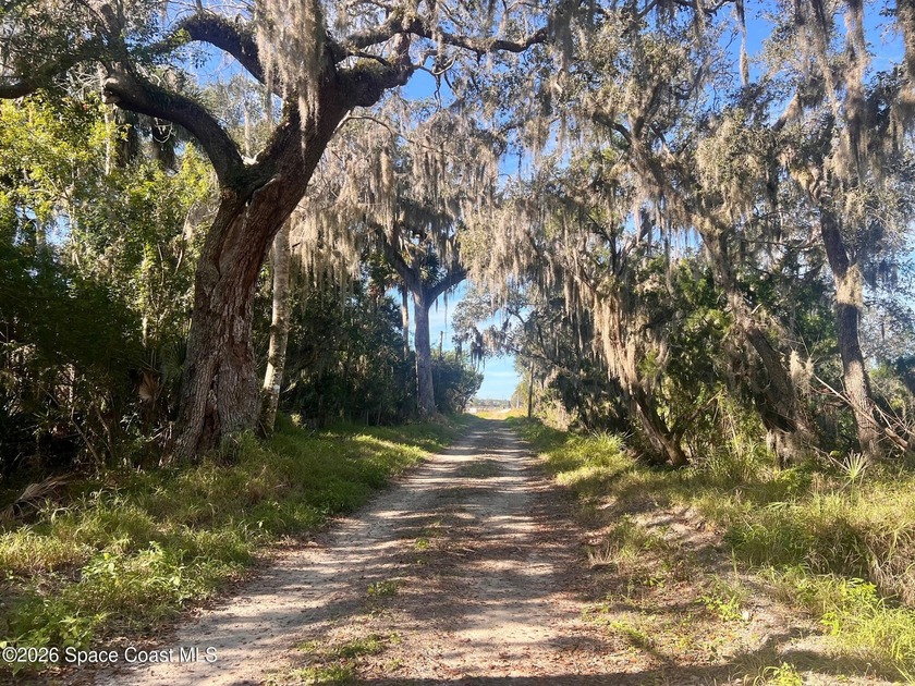 Discover the perfect blend of privacy, natural beauty, and rural - Beach Acreage for sale in Mims, Florida on Beachhouse.com