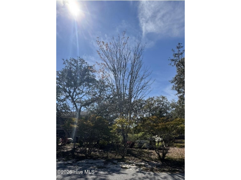 Here it is. Don't miss it. This is where you want to build your - Beach Lot for sale in Oak Island, North Carolina on Beachhouse.com