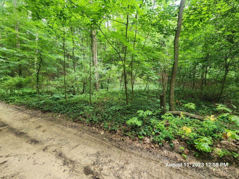 Enjoy the sights and sounds of Lake Michigan! This beautifully - Beach Lot for sale in South Haven, Michigan on Beachhouse.com