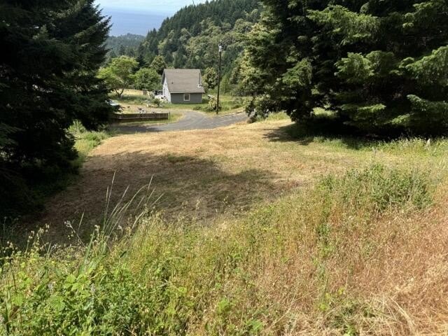 Looking for a secluded ocean view property on the Lost Coast? - Beach Lot for sale in Shelter Cove, California on Beachhouse.com