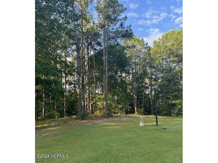 A beautifully wooded lot with Creek views.  Situated at the back - Beach Lot for sale in Minnesott Beach, North Carolina on Beachhouse.com