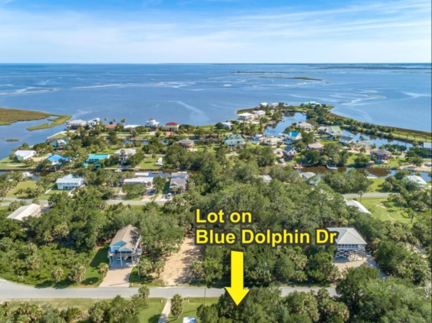 Nestled among lush greenery in secluded Oyster Bay, this - Beach Lot for sale in Crawfordville, Florida on Beachhouse.com