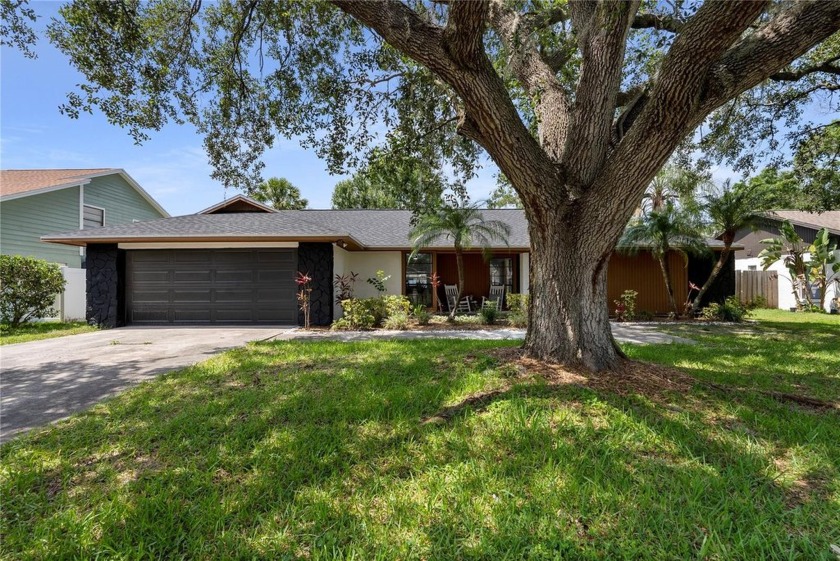 Welcome to this nicely updated pool home nestled in a quiet - Beach Home for sale in Tampa, Florida on Beachhouse.com