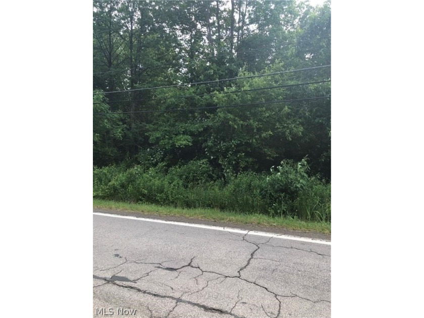 Beautiful, wooded lot conveniently located close to Rt 20, but - Beach Acreage for sale in Madison, Ohio on Beachhouse.com