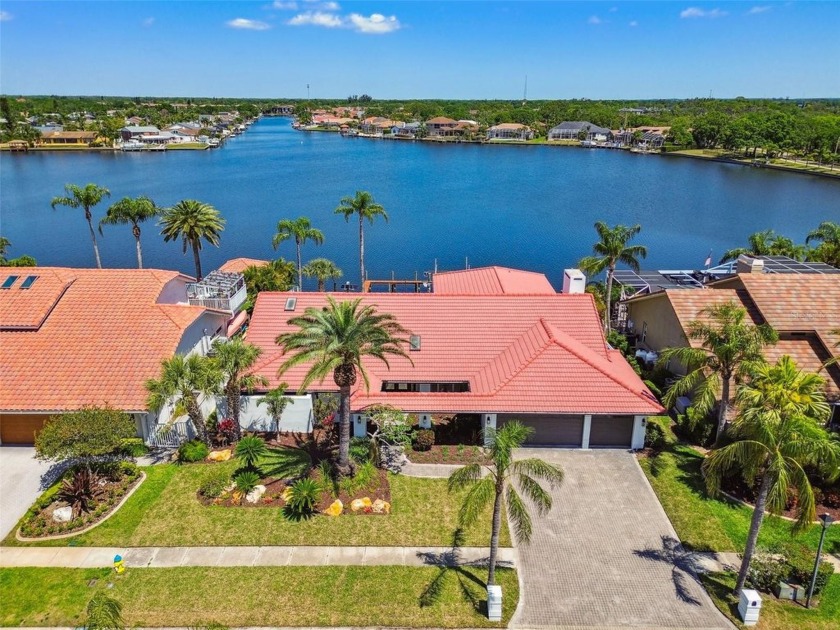 LAST BUYER DIDN'T MAKE ESCROW! Introducing an unparalleled blend - Beach Home for sale in Tampa, Florida on Beachhouse.com
