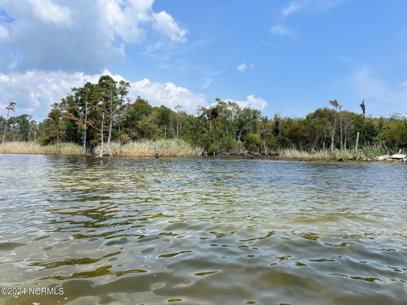 Waterfront On The Albermarle Sound - Buildable Lot 2.75 Acres - Beach Acreage for sale in Jarvisburg, North Carolina on Beachhouse.com