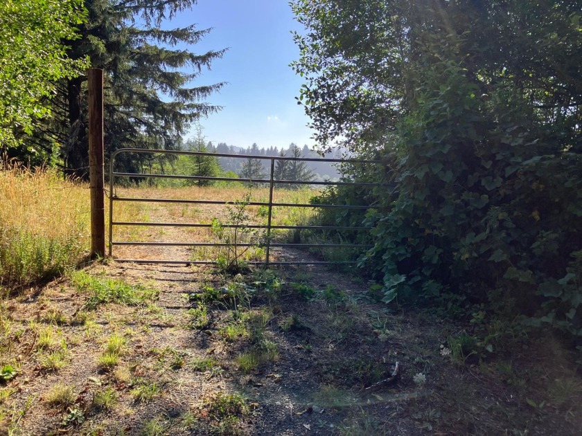 Approximately 145 acres just minutes from downtown Ferndale - Beach Acreage for sale in Ferndale, California on Beachhouse.com